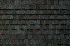 Titan XT - Black Walnut (Dallas)