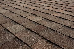 Titan XT - Natural Timber (Dallas) angled