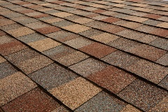 Titan XT - Painted Desert (Dallas) angled