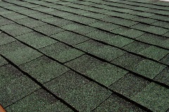 Titan XT - Rustic Evergreen (Dallas) angled