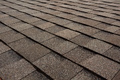 Titan XT - Weathered Wood (Dallas) angled