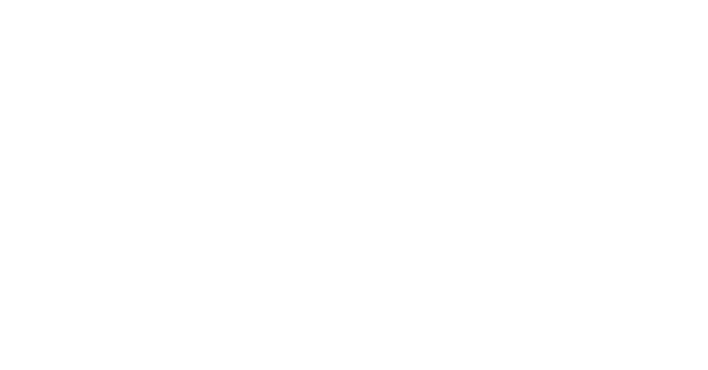 Stormfighter Logo